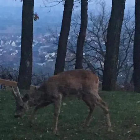 Aux Chenaies Rum i privatbostad Obernai